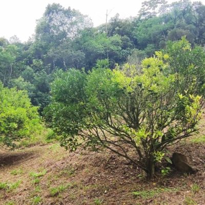 158fb73e-3c73-41f4-8104-2e757c19580e