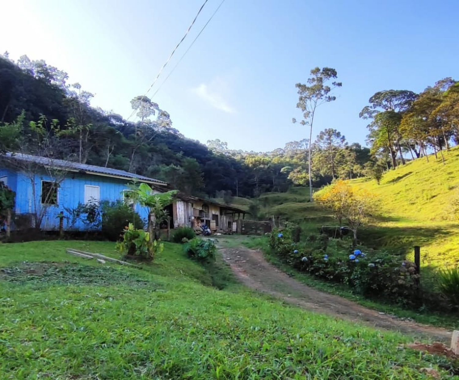 1a9ddbdc-c0d1-4782-aa0e-ae100d553734