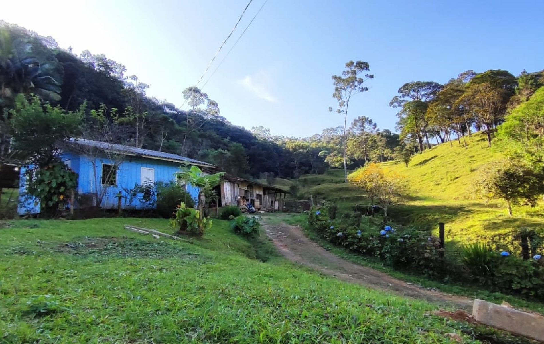 1a9ddbdc-c0d1-4782-aa0e-ae100d553734