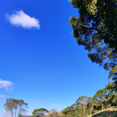 29a14a6e-6a61-451b-bb9f-4b3f13fa8920