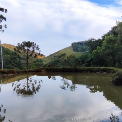 3880fbe9-de91-4574-b68e-2f80798ef2de