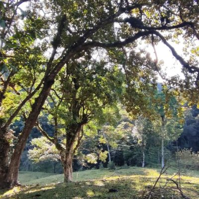 4daf2b09-4958-4346-afb7-f8b7bcd5ed59