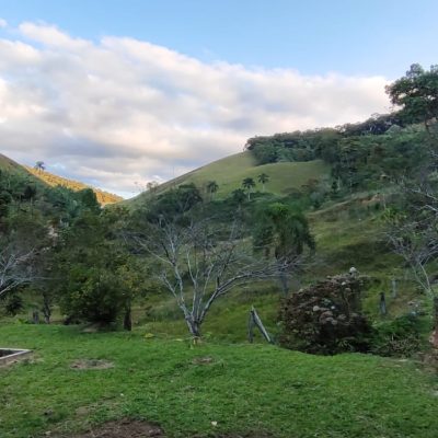 597c7477-7771-4945-8201-6533e9bee3cd