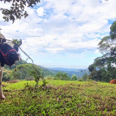 66b997eb-30a1-4f4a-ab32-2a95b604f83b