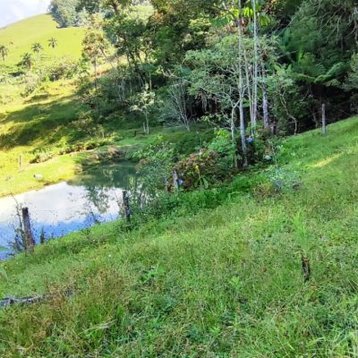 6b724fec-28fc-45b1-b8b2-f76caebb7836