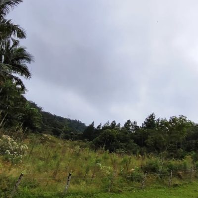 844694ff-c3c1-4f8f-9b21-2ae57e25669f