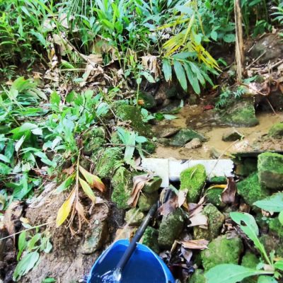 89b67ee8-c185-49c5-bc38-26b7b9ee9de5