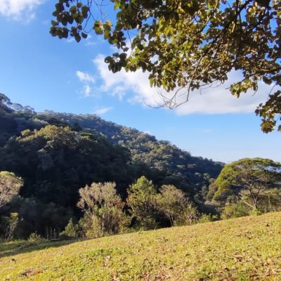 8b0457f2-6e62-4d8a-965b-ab0e9962a3e6