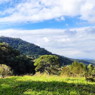 8dbeba71-99c5-42a3-874f-4984469ed974