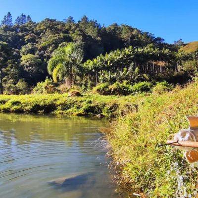 95256ff2-648a-4d49-9b75-16f233910eb5