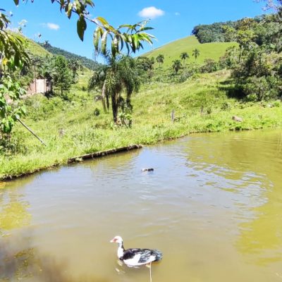 b9d91fb4-bd42-4bc8-8608-a1e727120381