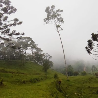 ba974dfe-4db5-415b-9047-2f076f0b9077