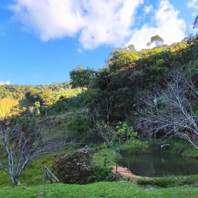 beb1d4ff-58b3-4898-84c7-1cc314a91a6f