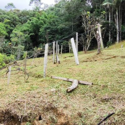 bf025e98-66fb-417b-8b66-3fceb86d4920