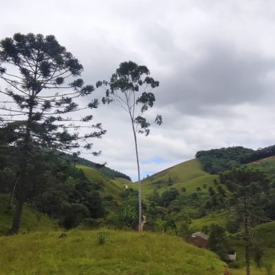 c1df8838-d960-4a31-99b2-8d9ac93313bb