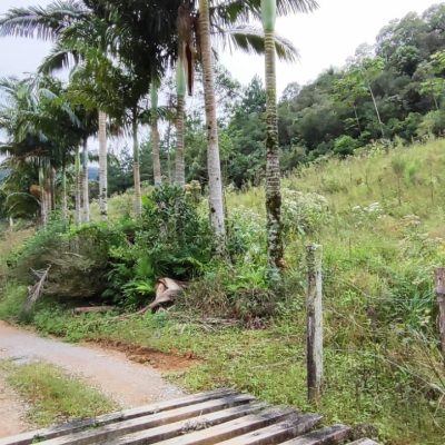 d7055ba5-048f-4eb0-9619-c47dc7badcfe